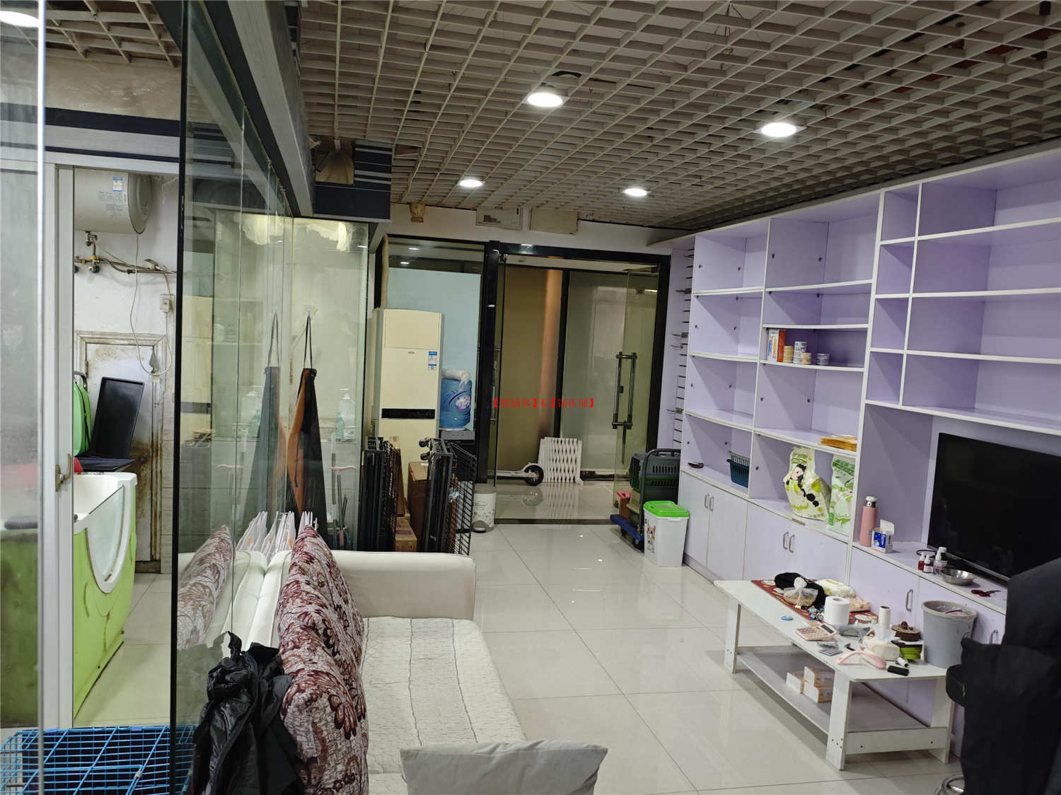 花果园国际商务5号楼，宠物店房东直租